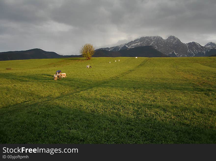 View with famous polish mountain Giewont also named 'Sleaping Knight'. View with famous polish mountain Giewont also named 'Sleaping Knight'