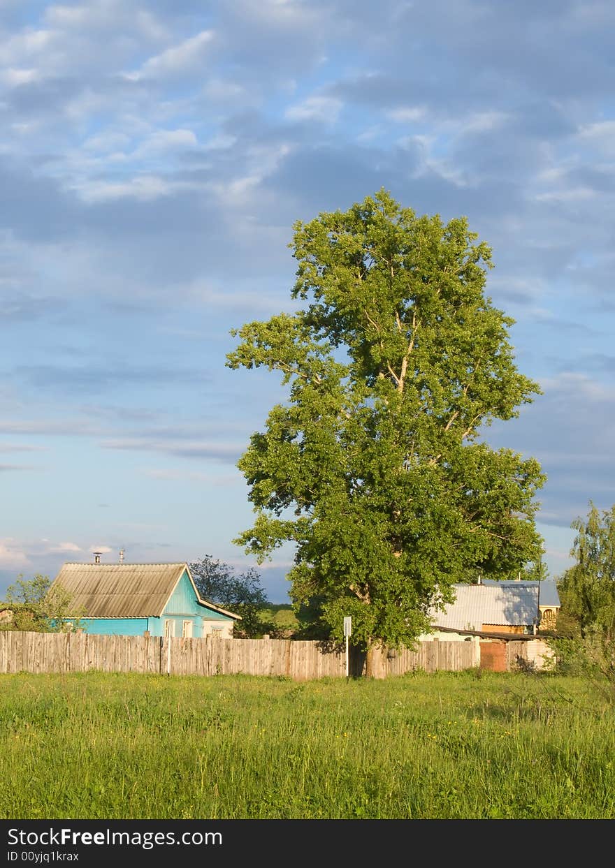 Rural landscape