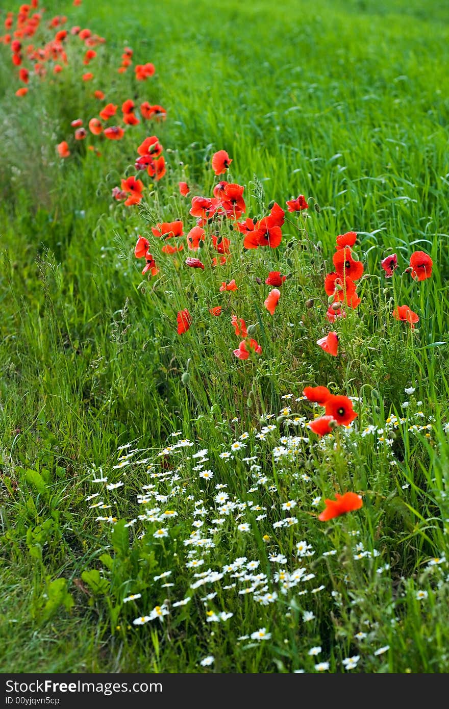 Red On Green