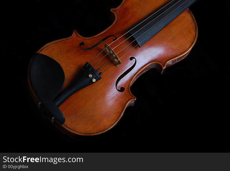 Violin