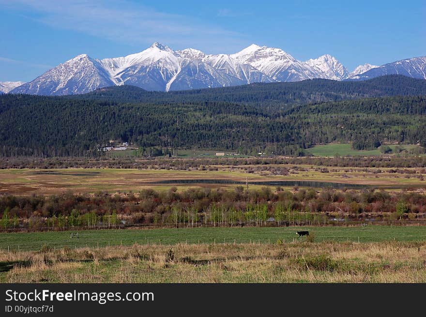 A ranch on the toe of rocky mountain range in kootenay national park, british columbia, canada. A ranch on the toe of rocky mountain range in kootenay national park, british columbia, canada