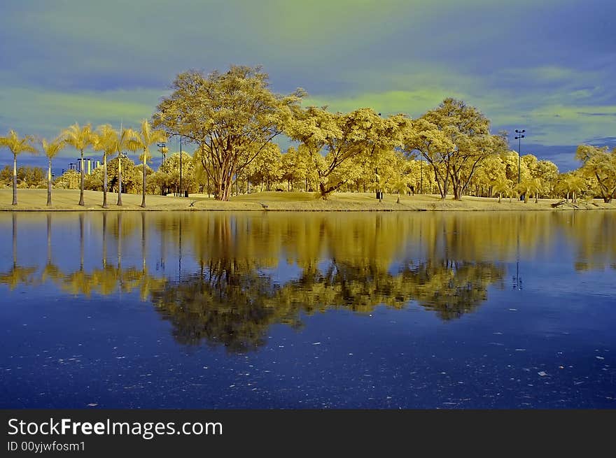 Reflection of tree and sky in the lakes