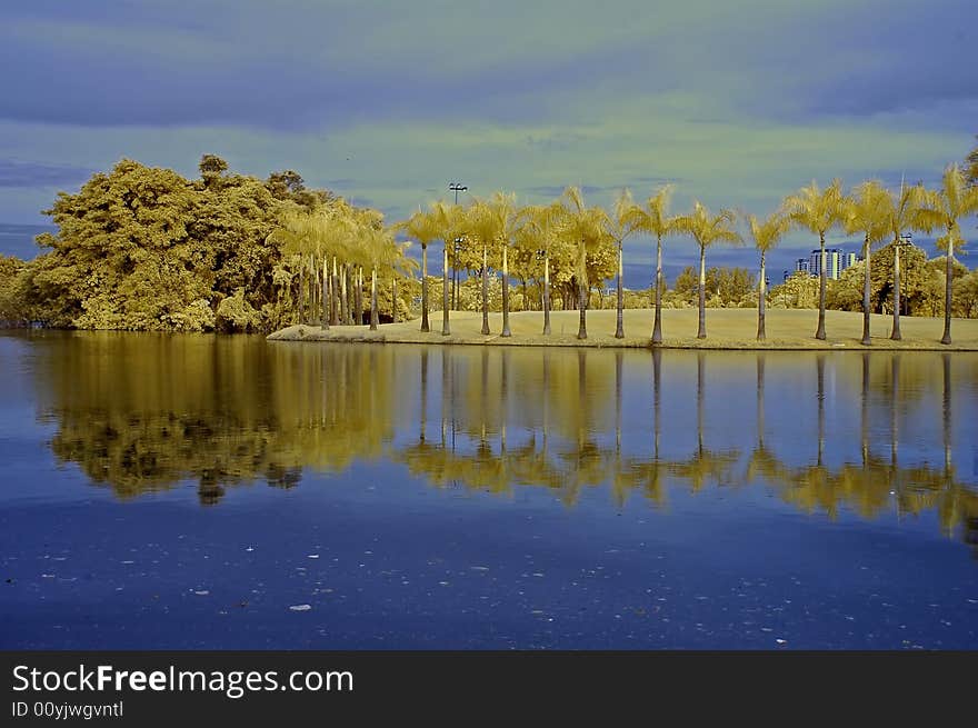 Reflection Of Tree And Sky In The Lake