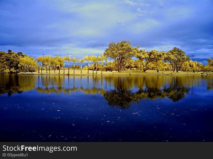 Reflection of tree and sky in the lake