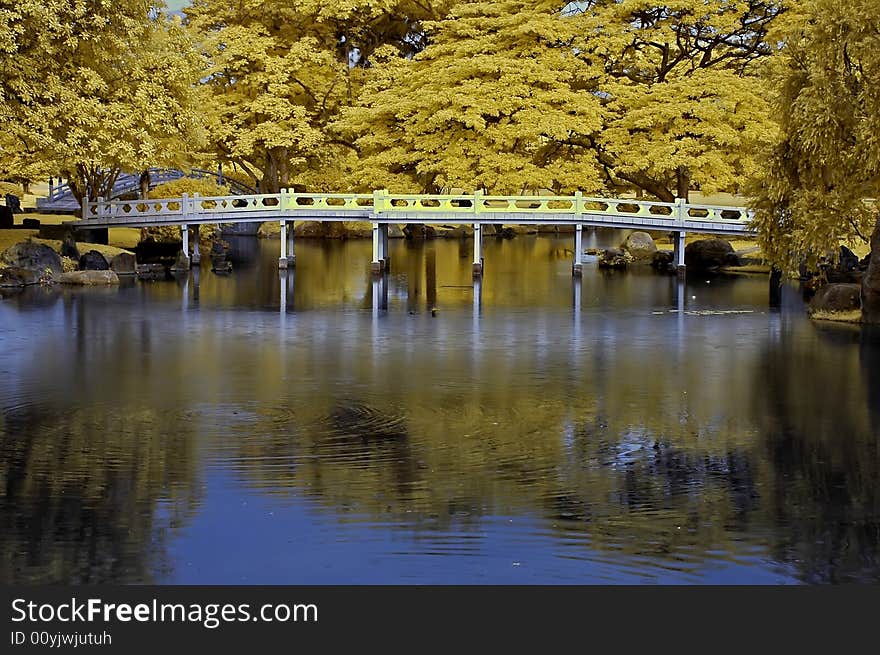 Reflection Of Tree And Bridge In The Lakes