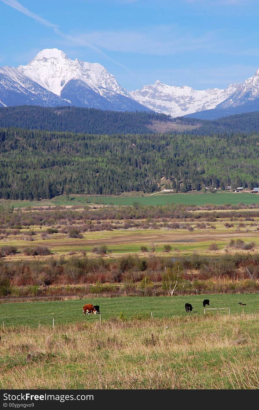 A ranch on the toe of rocky mountain range in kootenay national park, british columbia, canada. A ranch on the toe of rocky mountain range in kootenay national park, british columbia, canada