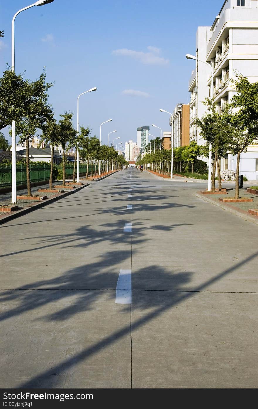 Road in Fudan