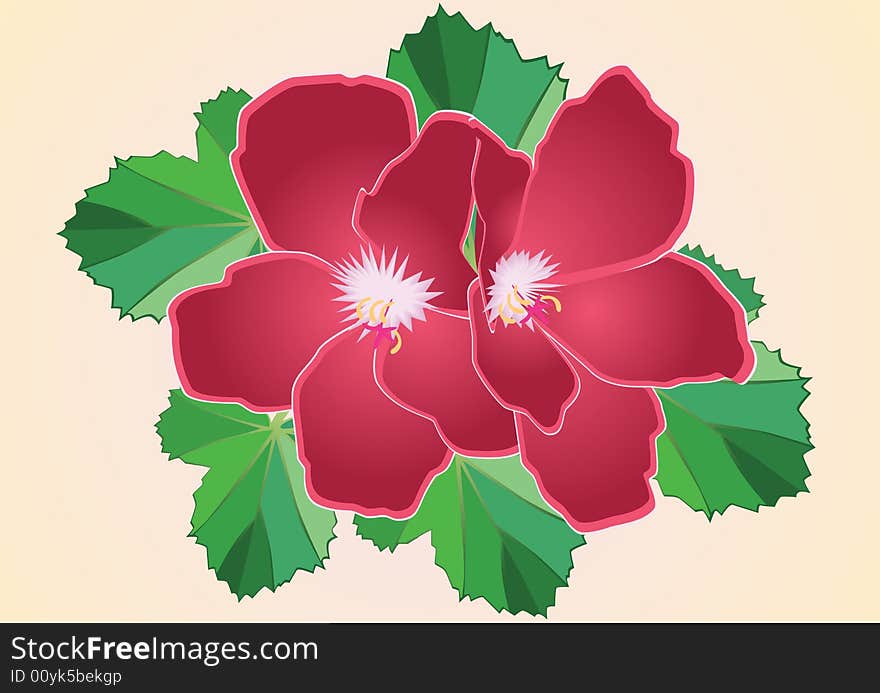 Crimson flower with green leaves. Vector.