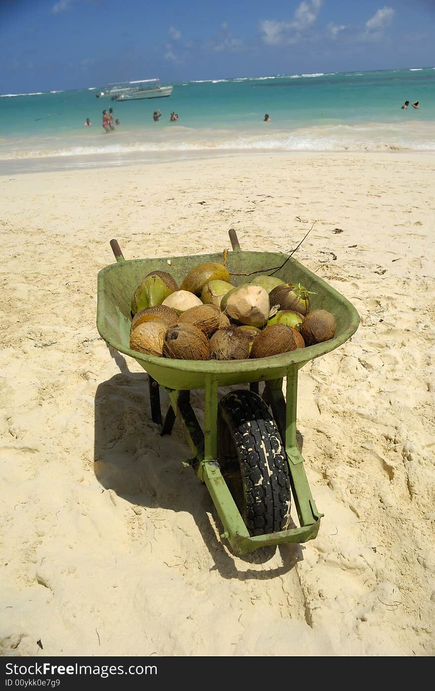 Coconuts for sale on exotic beach