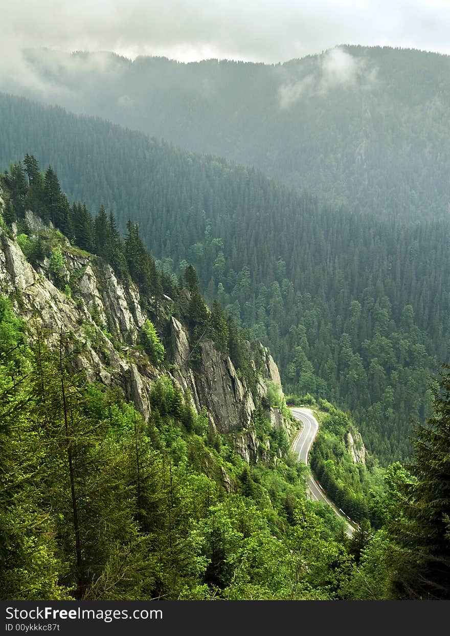 Forest on cloudy mountains in a summer day. Forest on cloudy mountains in a summer day