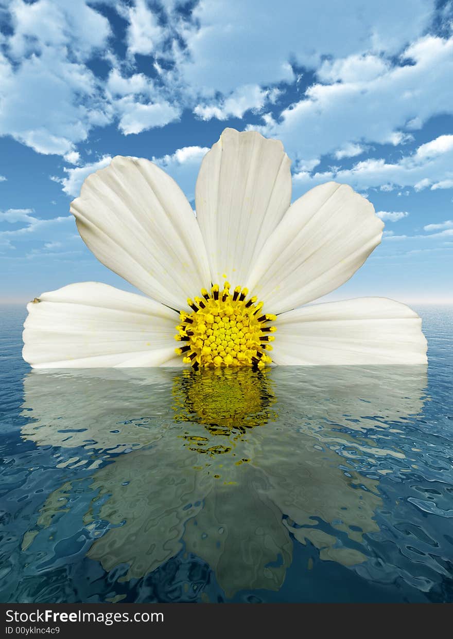 Beautiful flower with reflection on water - digital artwork.