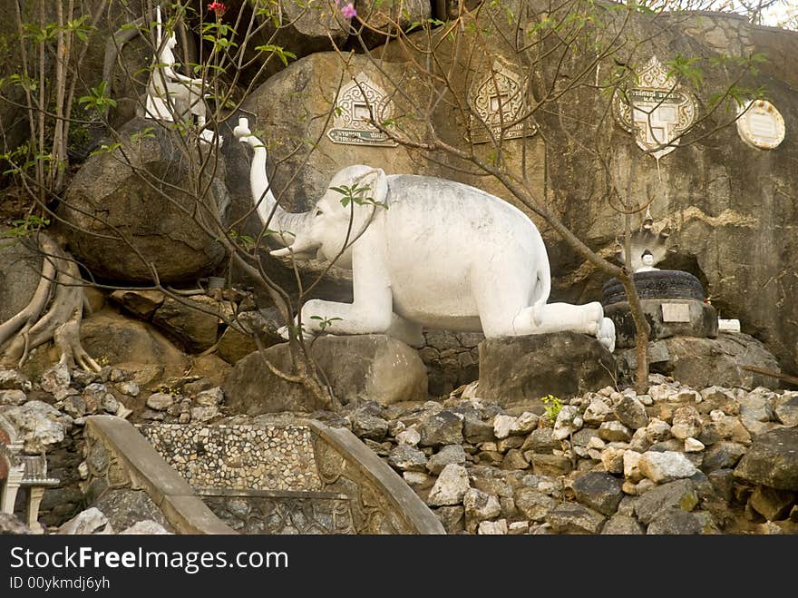 Temple elephant