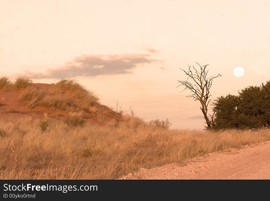 Moon over a sand dune in Kgalagadi Transfrontier Park. Moon over a sand dune in Kgalagadi Transfrontier Park