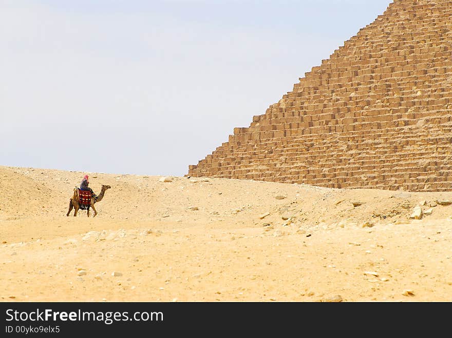 Beduin at pyramids