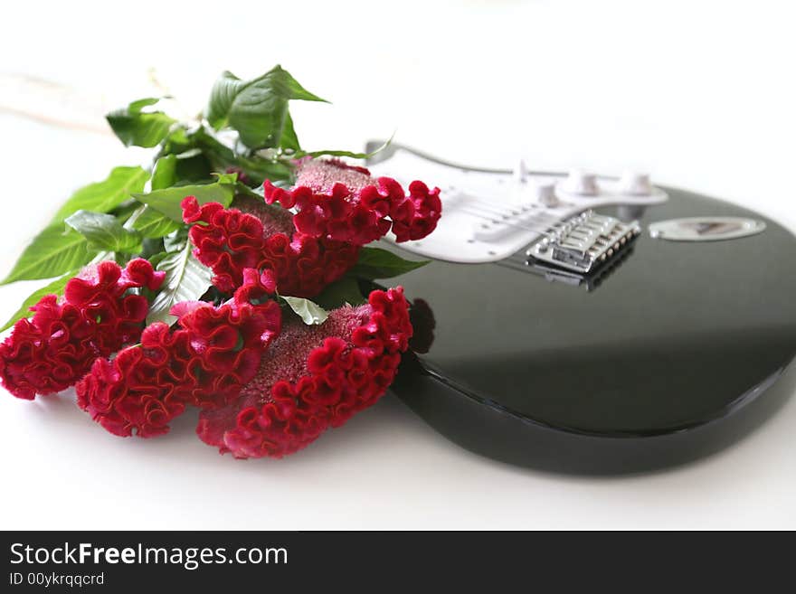 Flowers and guitar on white