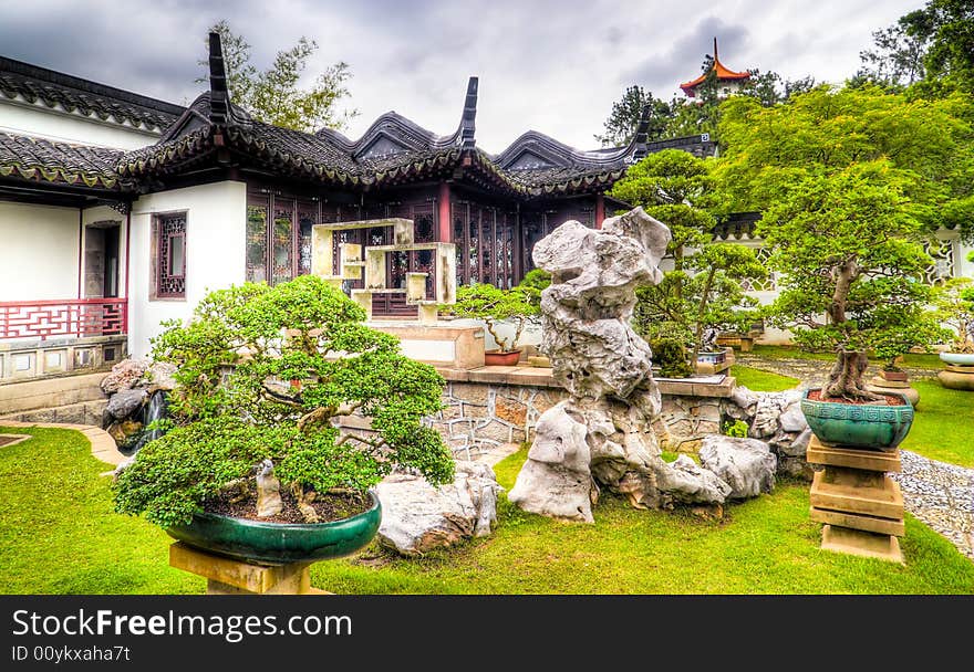 A traditional bonsai garden courtyard