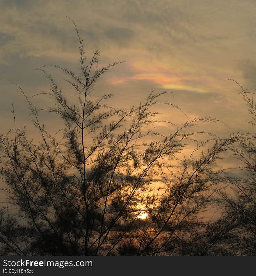 Cloud iridescence occuring in high altitude clouds at sunrise