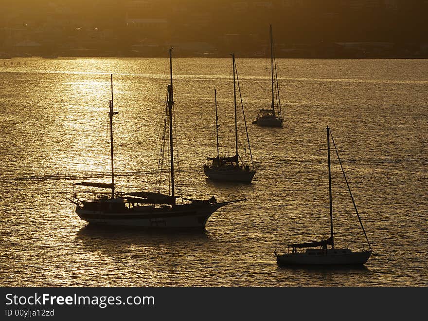 Sailing In St.Thomas