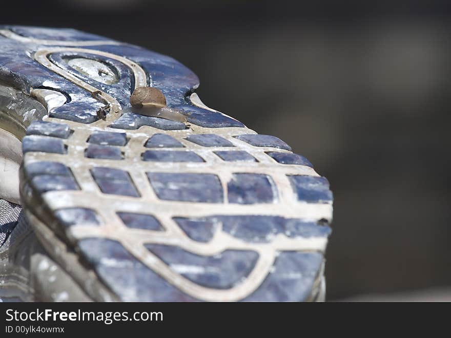 A funny land snail running on a running shoe. A funny land snail running on a running shoe