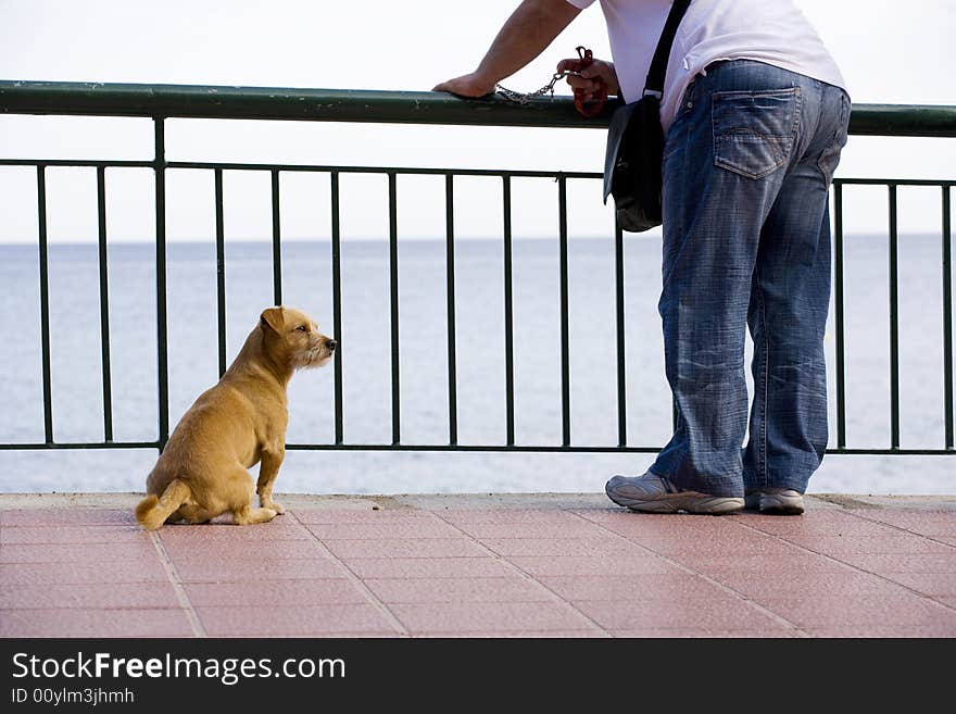 A photo of dog and it's owner. A photo of dog and it's owner