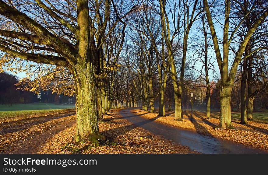 Alley in late autumn