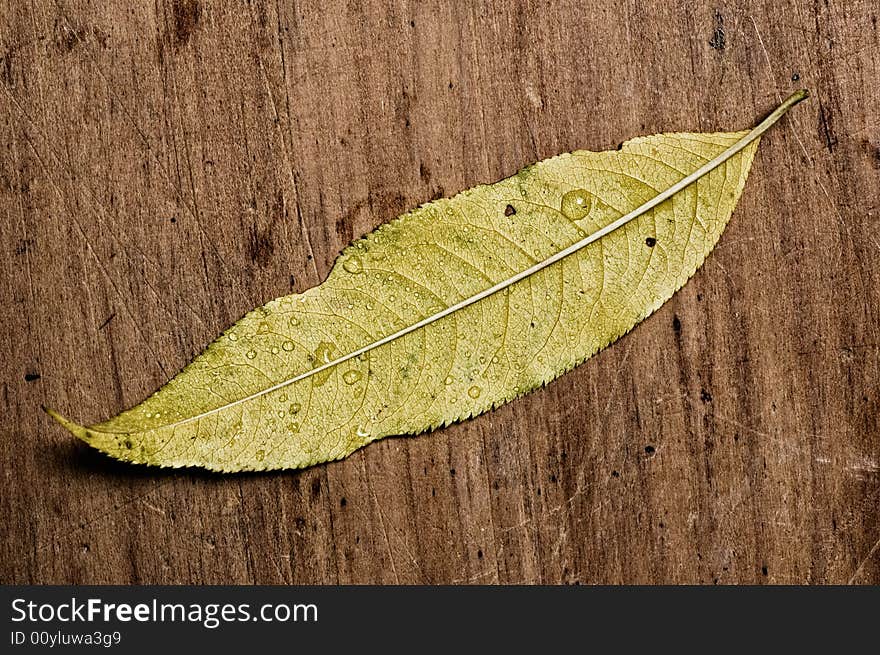 Autumn leav on wooden table, close up shot. Autumn leav on wooden table, close up shot.