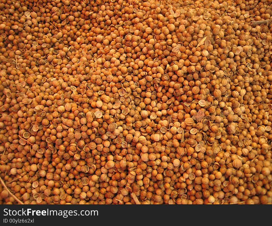 Peppers, they grows in Sri Lanka. Peppers, they grows in Sri Lanka