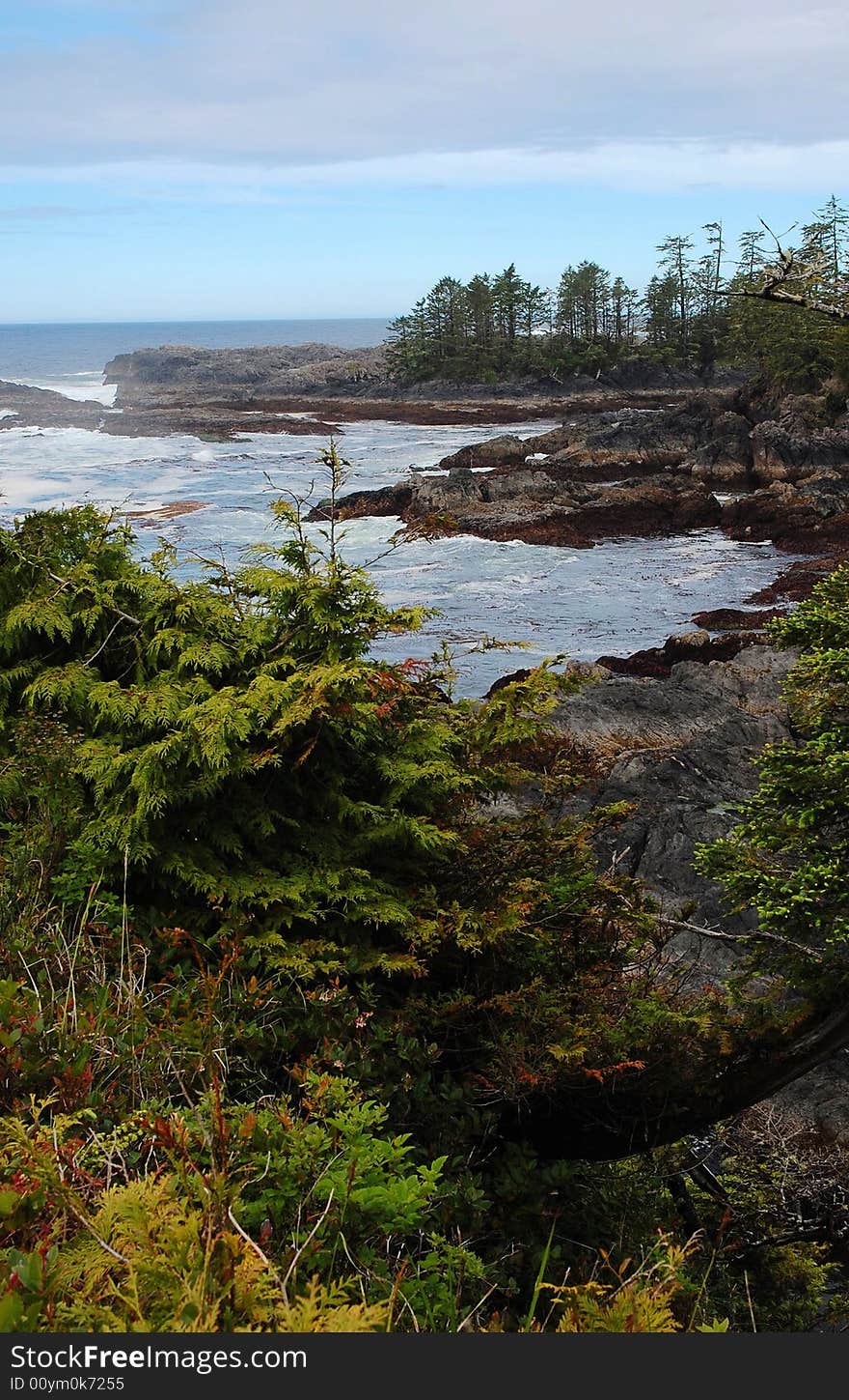 Coastline along the wild pacif