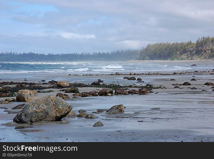 Beach view in Florencia bay