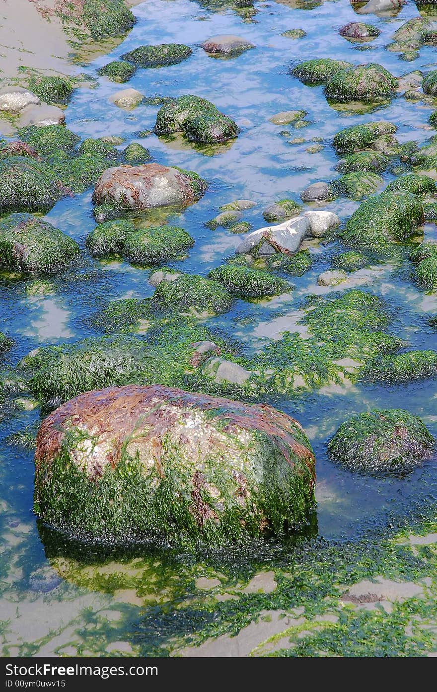 Rocks in Florencia bay