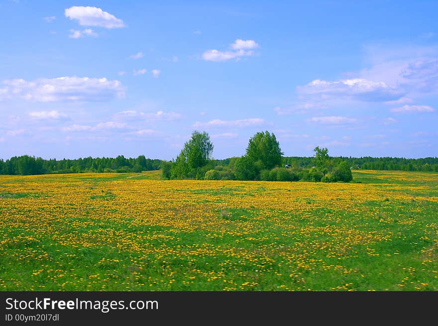 Fields for crops in village. Fields for crops in village