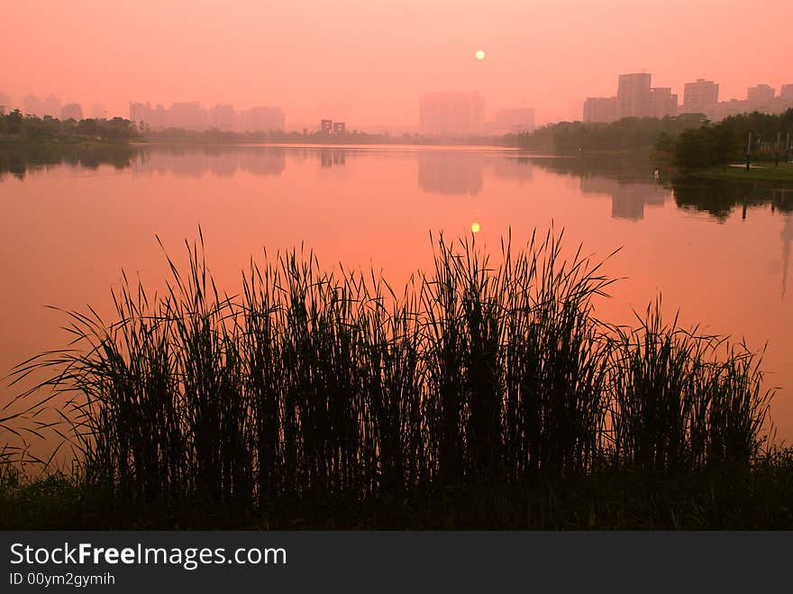 The Lake Sunset