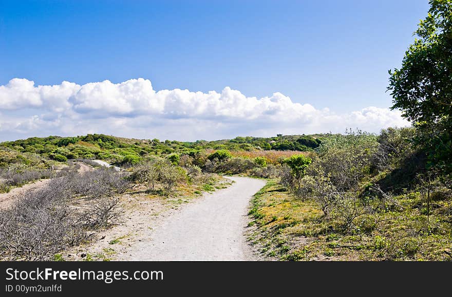 Footpath in dunes. Bushes in the background.