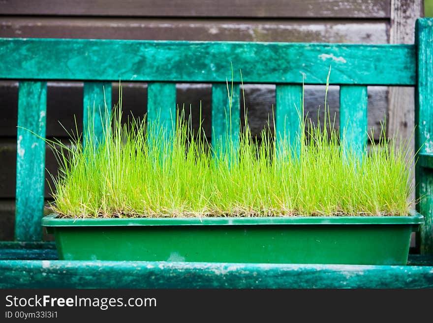 Grass Container