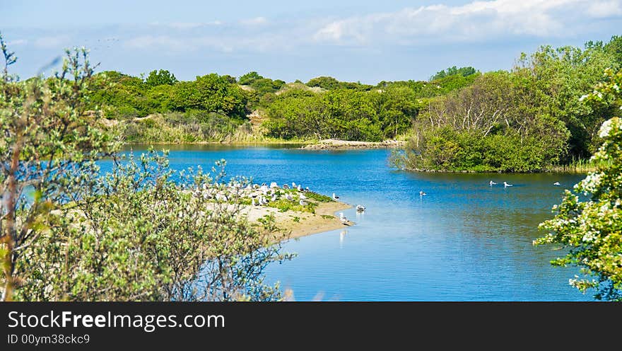 Beautiful lake.  Forest along  the bank.