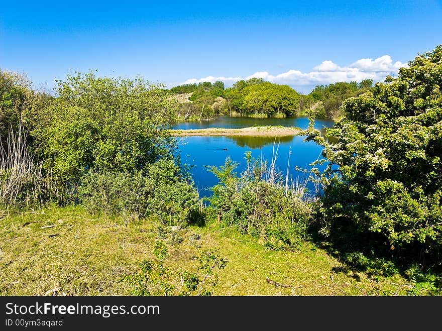 Beautiful lake.  Forest along  the bank.