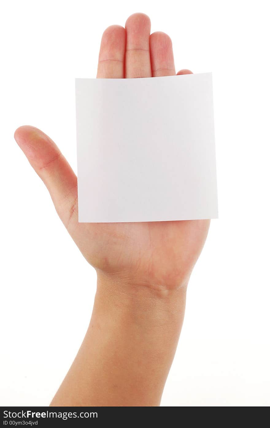 Hand holding paper on white background. Hand holding paper on white background