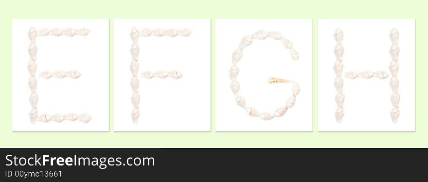 Seashell letters on white background, letter E,F,G,H. Seashell letters on white background, letter E,F,G,H