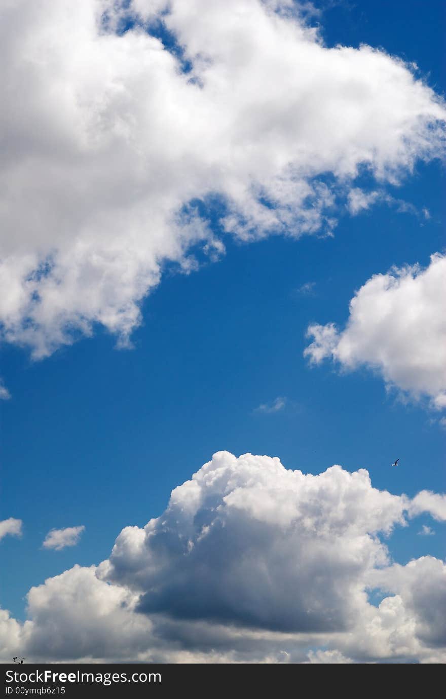 Cumulus clouds on a blue sky. Cumulus clouds on a blue sky