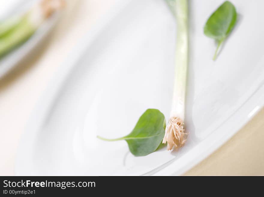 High key green onion on a plate with shallow focus