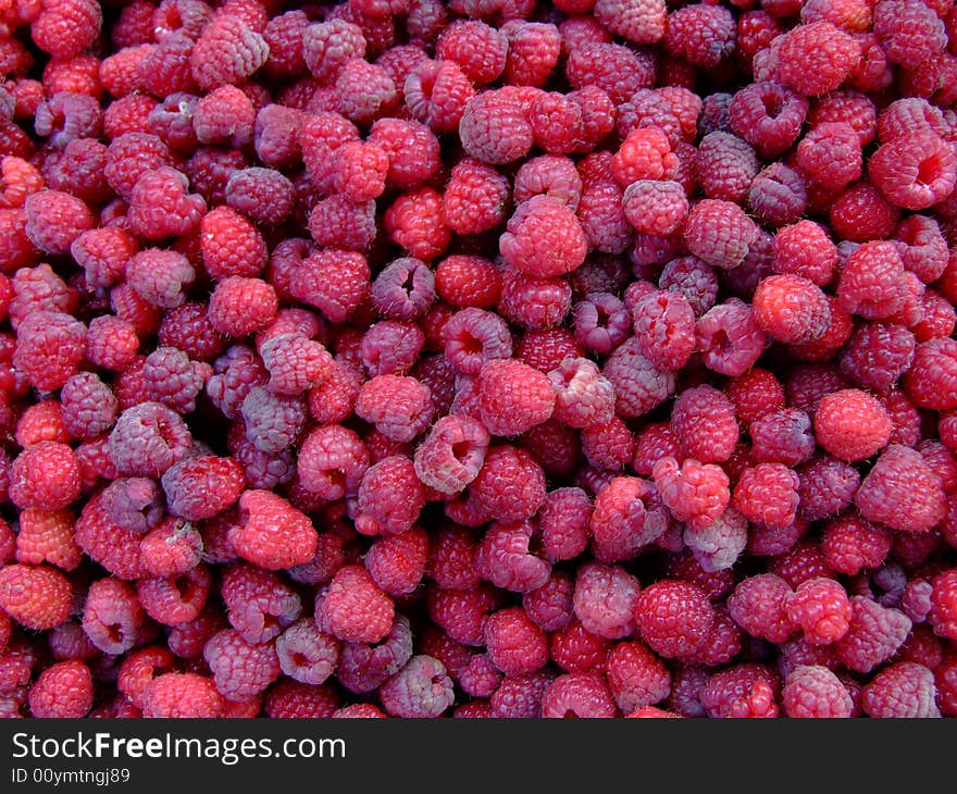 The scattered ripe raspberry, harvest