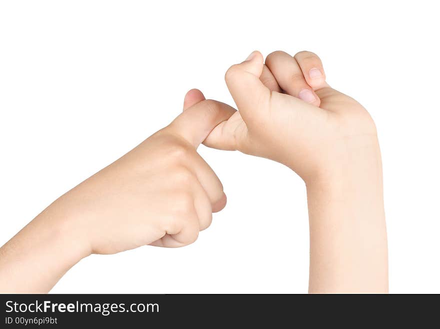 Two hands  isolated on white background