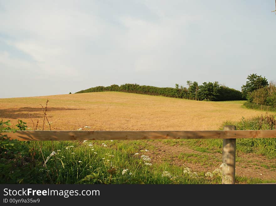 Picturesque field