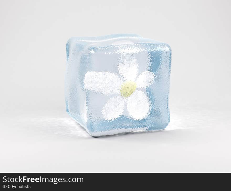 Flower in ice cube