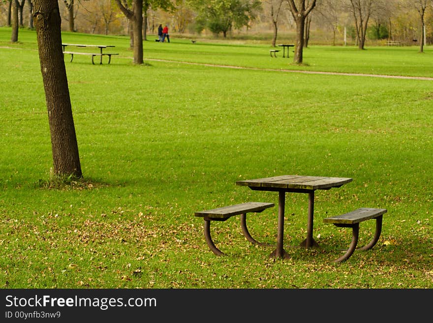 Park table and benches with a tree shading the area. Park table and benches with a tree shading the area