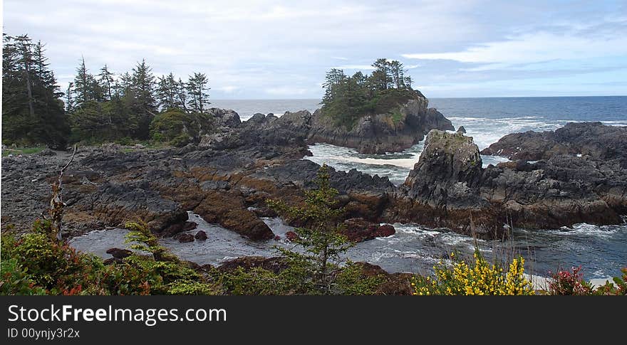 Seashore in Pacific Rim national park, vancouver island, british columbia, canada