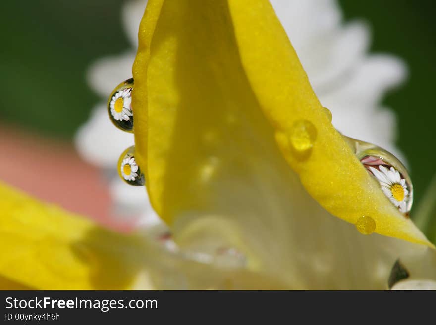 Rebound of primes in water drops. Rebound of primes in water drops