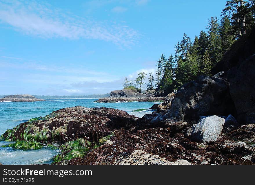 Seashore in Pacific Rim national park, vancouver island, british columbia, canada