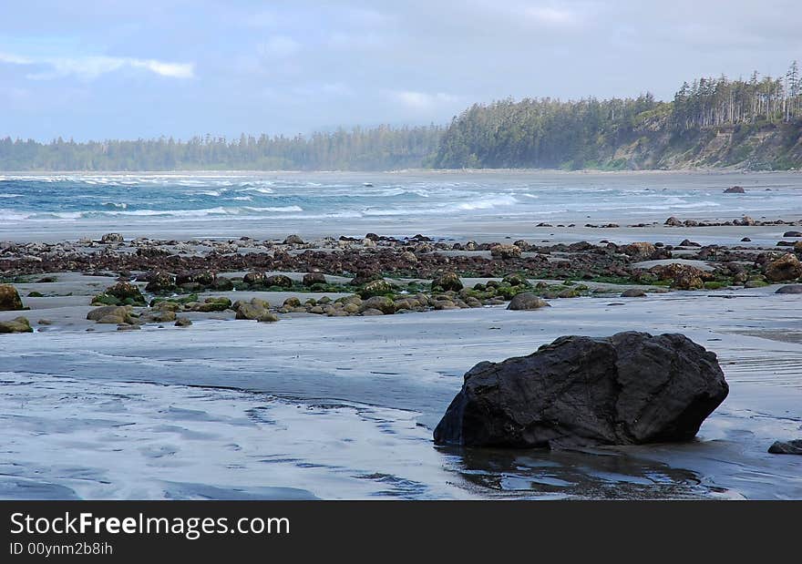 Beach View In Florencia Bay