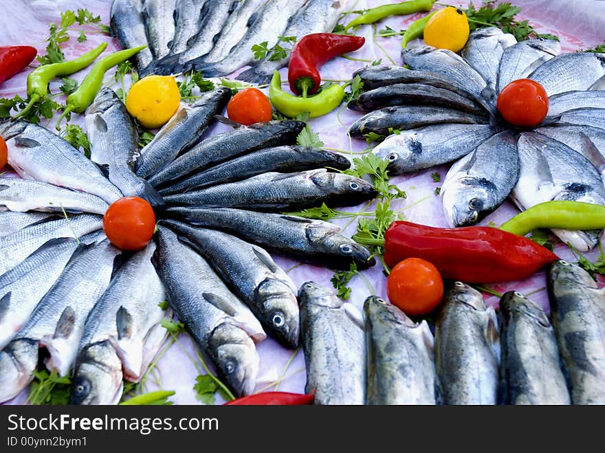 Fresh sea bass fish with tomatos close up. Fresh sea bass fish with tomatos close up